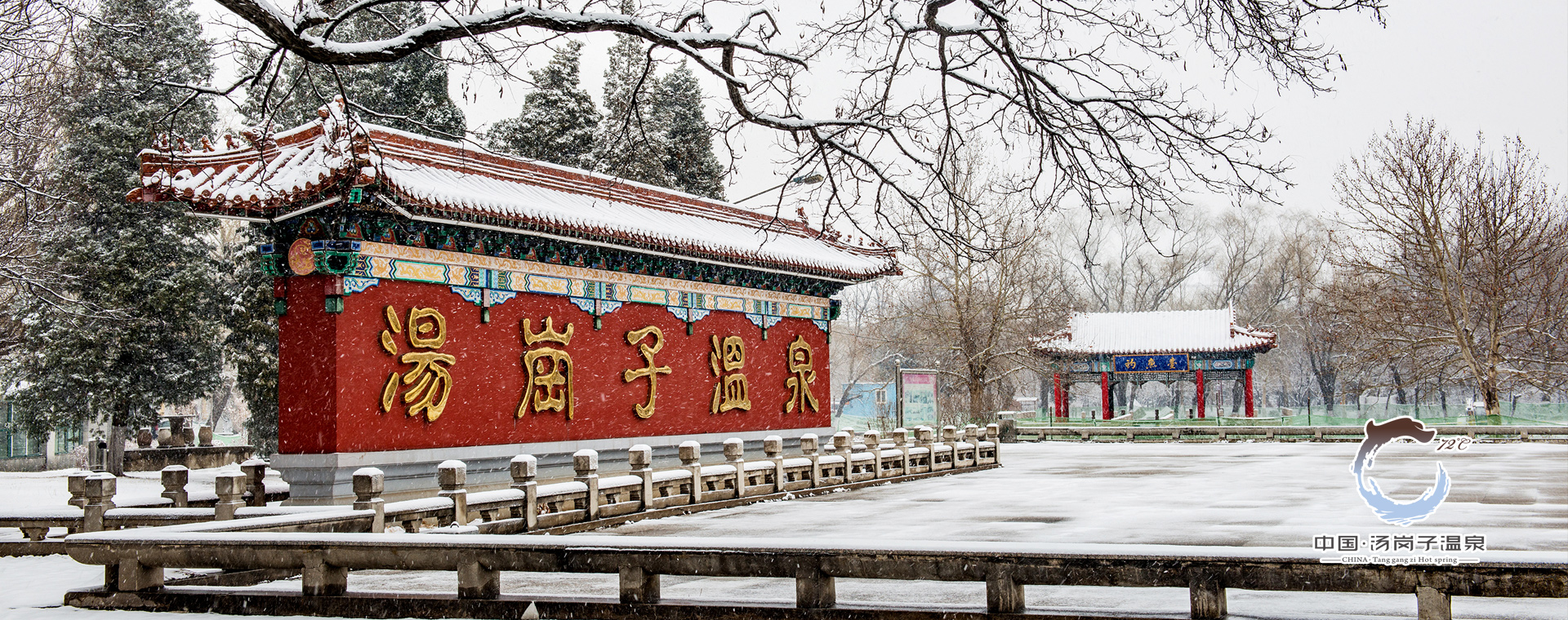 龙8头号玩家(国际)官方网站